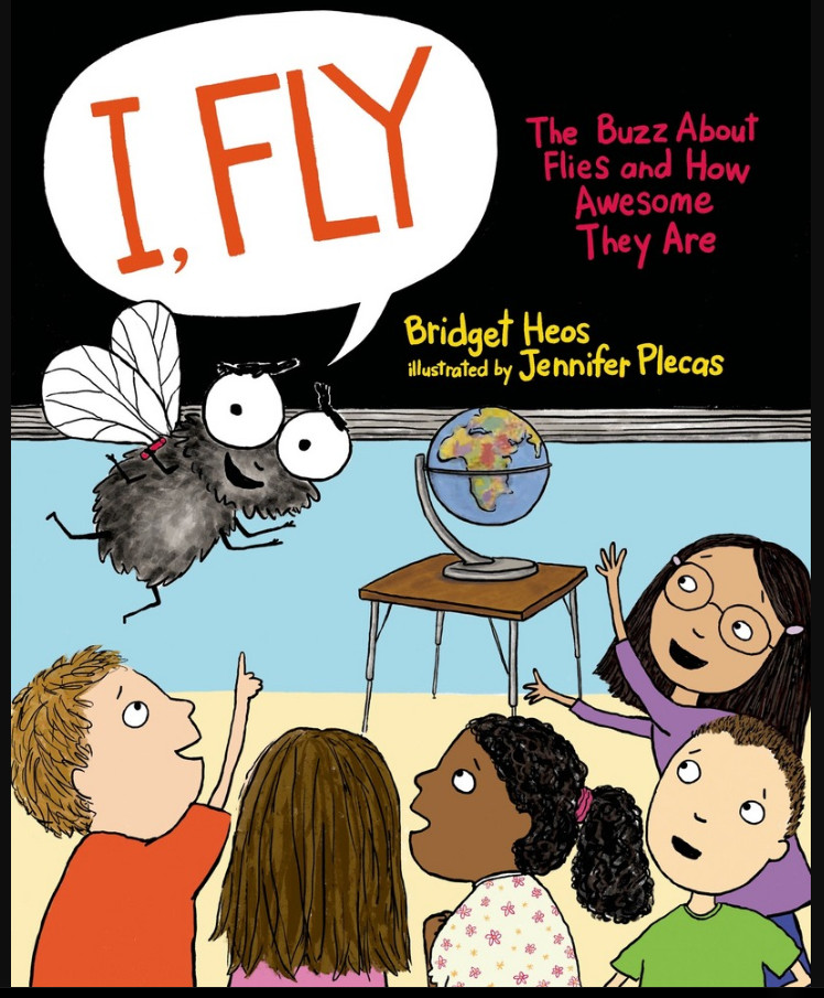  I Fly